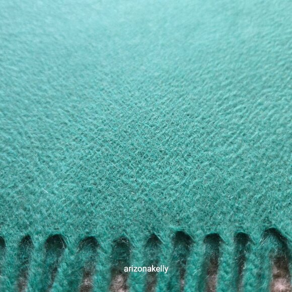 Ann Taylor Cashmere Green Fringed Scarf - Picture 11 of 16